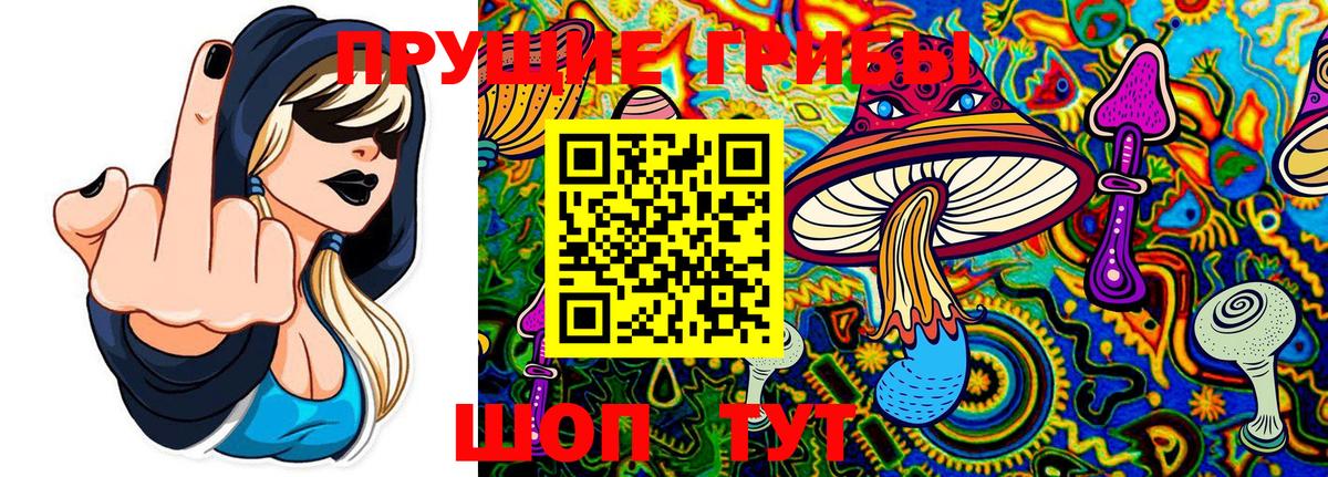 Тверь  Галлюциногенные грибы мицелий  Вход с VPN 
