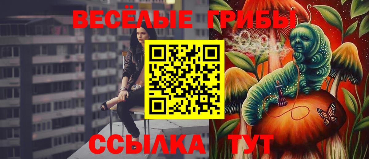 Галлюциногенные грибы мицелий Тверь
